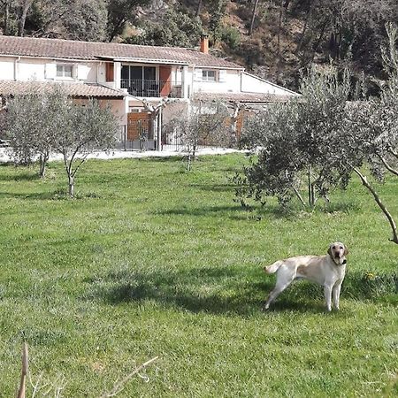 Le Mas Des Oliviers Villa Puget ภายนอก รูปภาพ