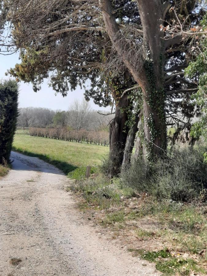 Le Mas Des Oliviers Villa Puget ภายนอก รูปภาพ