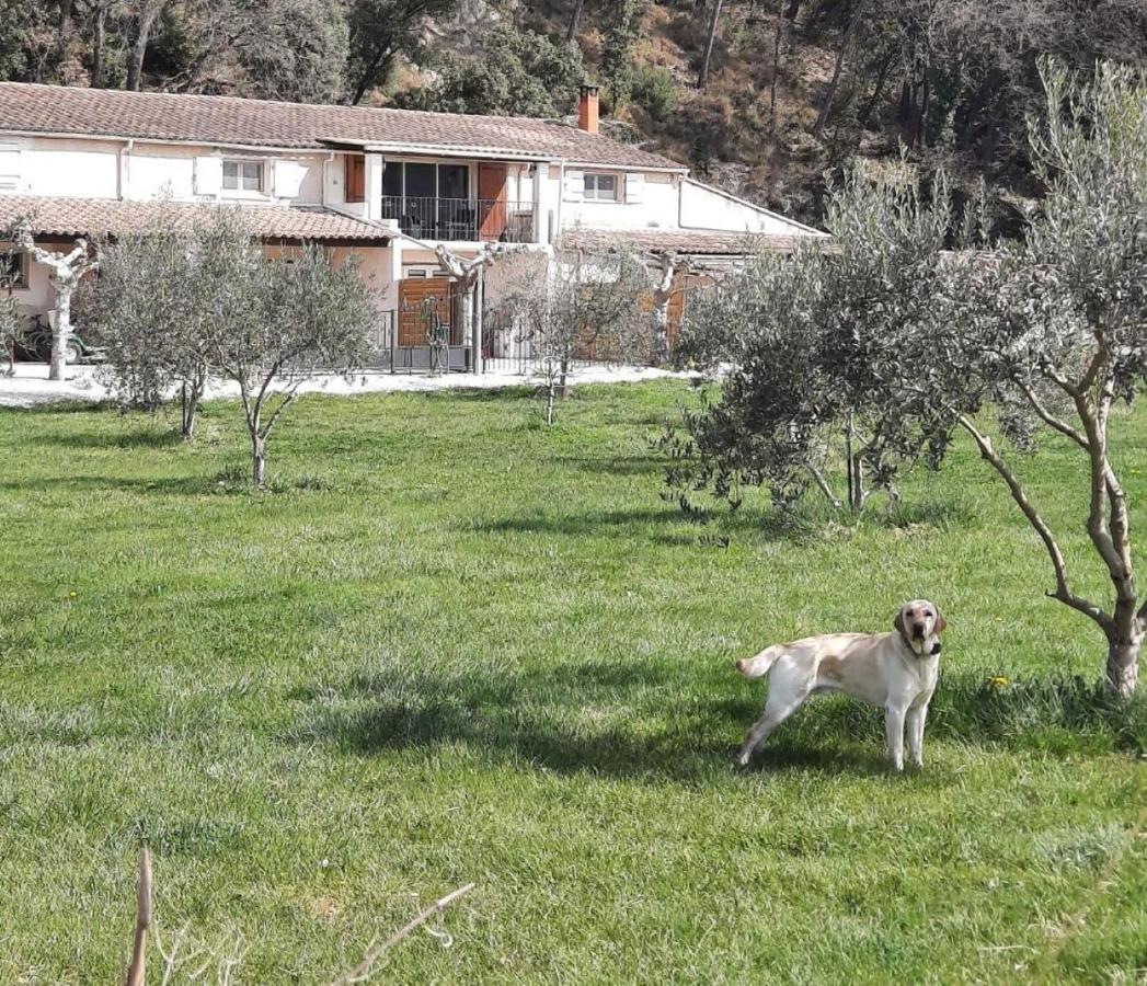 Le Mas Des Oliviers Villa Puget ภายนอก รูปภาพ
