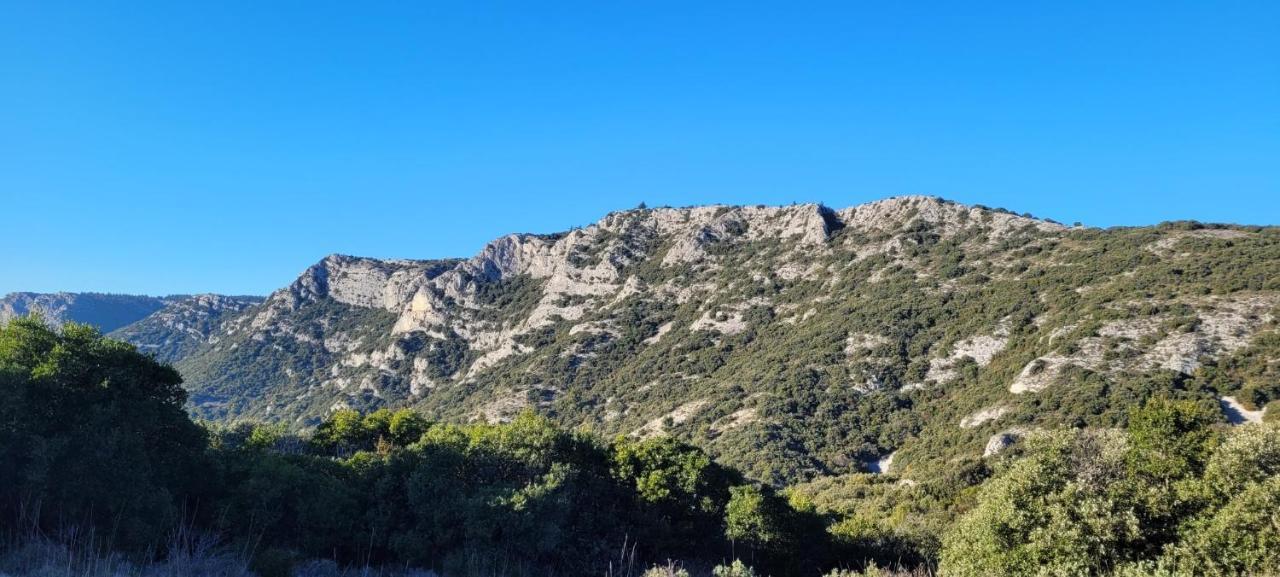 Le Mas Des Oliviers Villa Puget ภายนอก รูปภาพ